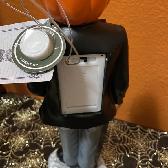 Crimson pumpkin gentleman - Picture 7 of 7